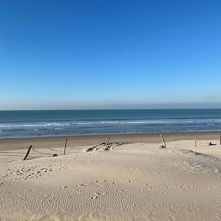 Le Parc De L'Hermitage Le Touquet Kültér fotó